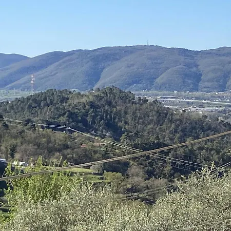 Casa Alfredo *